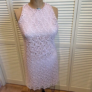 MASSIMO DUTTI / ZARA Women's Pale Pink Lace Mini Dress Size 6